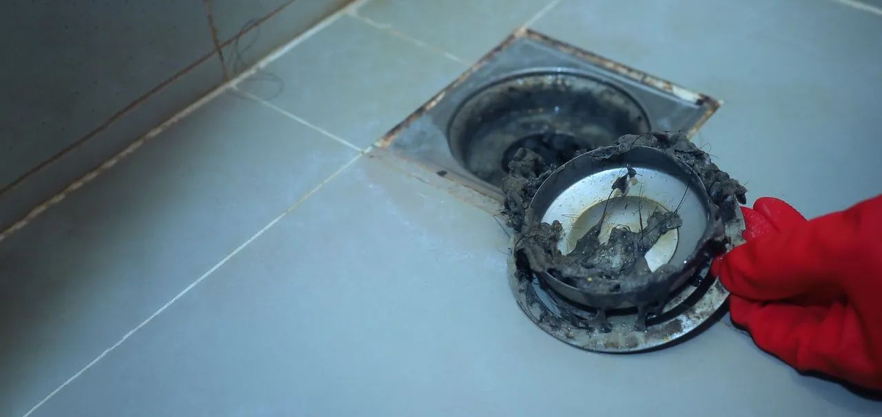 drain cleaning lansing mi