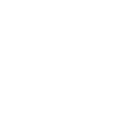 svg