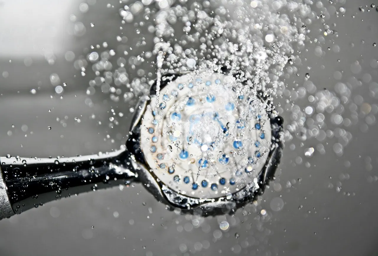 plumbing services in Charlotte, MI