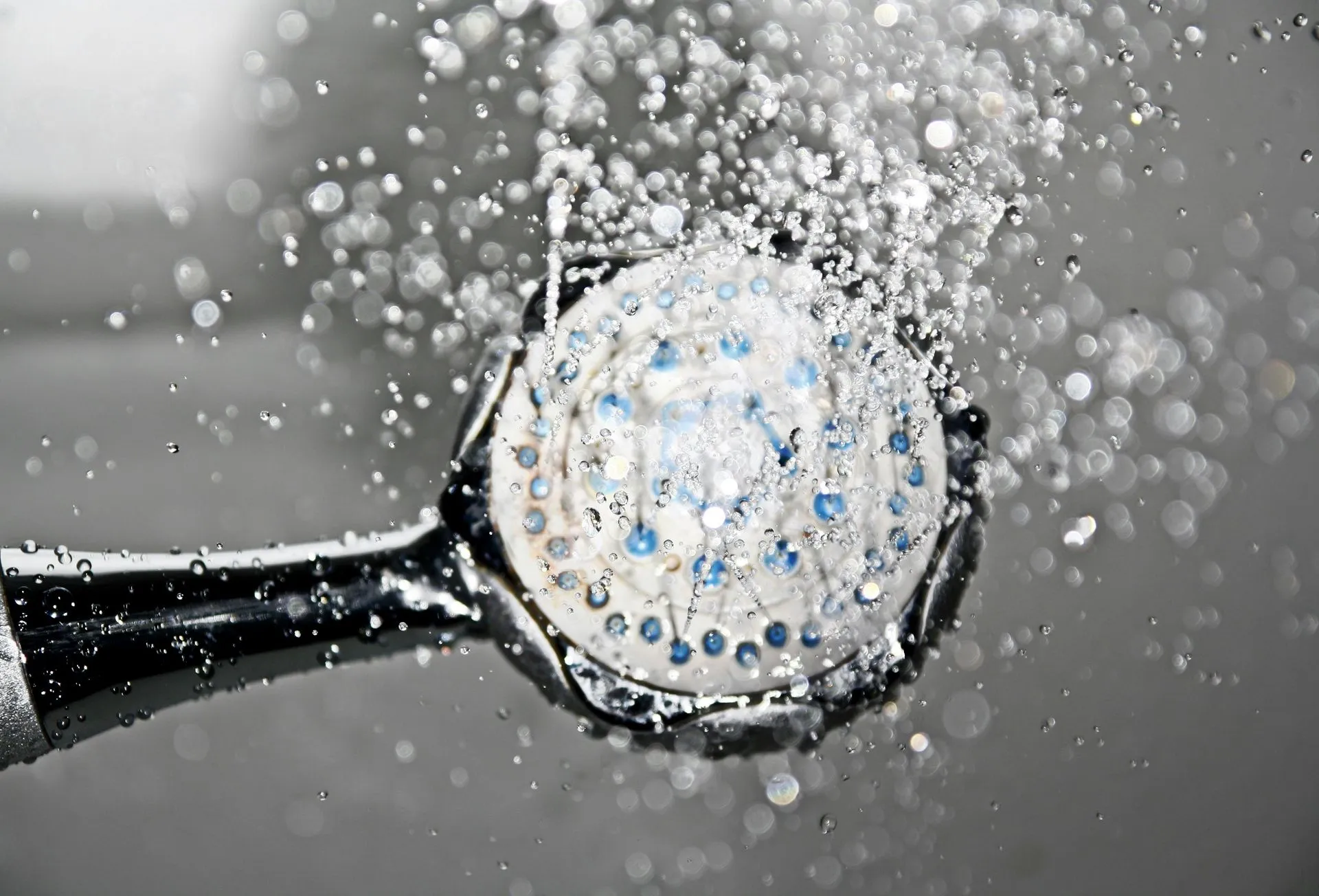 plumbing services in Charlotte, MI